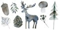 Cute forest watercolor symbols with woody landscape. Scandinavian decorative illustration. Royalty Free Stock Photo