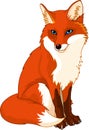 Cute fox Royalty Free Stock Photo