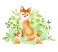 Cute fox and babies. Hand painted watercolor illustration Royalty Free Stock Photo