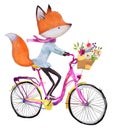 Cute fox on bicycle with flowers