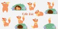 Cute fox big set isolated on transparent background