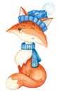 Cute fox in blue scarf and cap.