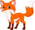 Cute fox cartoon