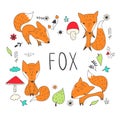 Cute fox collection. Royalty Free Stock Photo