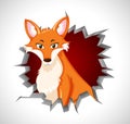Cute fox coming out of cracked wall Royalty Free Stock Photo