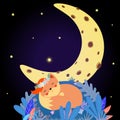 Cute fox sleep under moon starry sky. Good Night