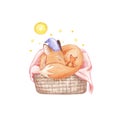 A cute fox is sleeping in a basket with a watercolor toy on a white background. children\'s watercolor illustration. Royalty Free Stock Photo