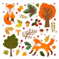 Cute foxes in the forest. Vector set