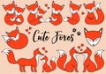 Cute foxes, vector set