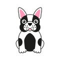 Cute French bulldog. Design for greeting card