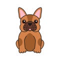 Cute French bulldog. Design for greeting card