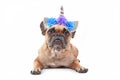 Cute French Bulldog dog dressed up as unicorn with costume headband with silver horn and flowers lying downon white background Royalty Free Stock Photo