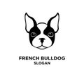 Cute french bulldog head vector logo icon pattern template design Royalty Free Stock Photo