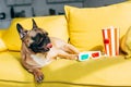 Cute french bulldog lying near 3d glasses and tasty popcorn in bucket on yellow sofa.