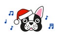 Cute French bulldog in santa hat sings carols