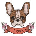 cute french bulldog with the word love
