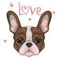 cute french bulldog with the word love