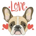 cute french bulldog with the word love