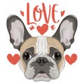 cute french bulldog with the word love