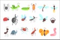 Cute Friendly Insects Set With Cartoon Bugs, Beetles, Flies, Spiders And Other Small Animals Royalty Free Stock Photo