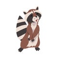 Cute Friendly Raccoon, Adorable Funny Wild Forest Animal Cartoon Character Vector Illustratio