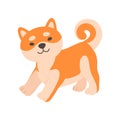 Cute Friendly Shiba Inu Dog, Funny Japan Pet Animal Cartoon Character Vector Illustration