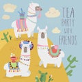 Cute friends mexican white alpaca llamas drinking tea