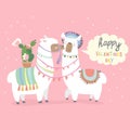 Cute friends mexican white alpaca llamas kissing Royalty Free Stock Photo