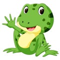 Cute frog cartoon