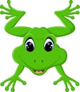 Cute frog cartoon