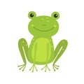 Cute Frog cartoon isolated on white Royalty Free Stock Photo