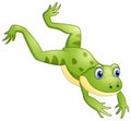 Cute frog cartoon leaping Royalty Free Stock Photo
