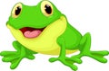 Cute frog cartoon Royalty Free Stock Photo