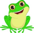 Cute Frog cartoon Royalty Free Stock Photo