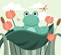 Cute frog concept Royalty Free Stock Photo