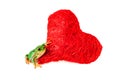 Cute frog heart valentine. Valentines Day. Romantic concept Royalty Free Stock Photo