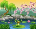 Cute frog jumping on the lily water