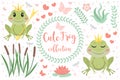 Cute frog princess character set of objects. Collection of design element with marsh reeds, flowers, plants. Kids baby