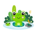 Cute frog sitting on a leaf in a pond