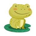 Cute frog sitting on lotus leaf in pond. Green funny amphibian toad character cartoon vector illustration Royalty Free Stock Photo