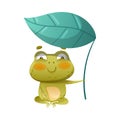 Cute frog sitting under the lotus leaf. Green funny toad character d cartoon vector illustration Royalty Free Stock Photo