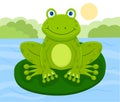 Cute frog on water lily Royalty Free Stock Photo