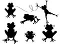 Cute frogs collection