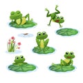 Cute frogs. Green funny frogs in various poses, happy animals group. Smiling active toads, zoo carnivore cartoon vector