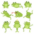 Cute frogs. Green funny frogs in various poses, happy animals group. Smiling active toads, zoo carnivore cartoon vector Royalty Free Stock Photo