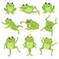 Cute frogs. Green funny frogs in various poses, happy animals group. Smiling active toads, zoo carnivore cartoon vector characters Royalty Free Stock Photo