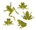 Cute frogs set. Green toads. Vector illustration.