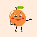 cute fruit apricot character with funny face