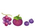 Cute fruits-grape, mangosteen, blueberry