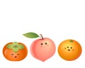 Cute fruits-persimmon, peach, orange